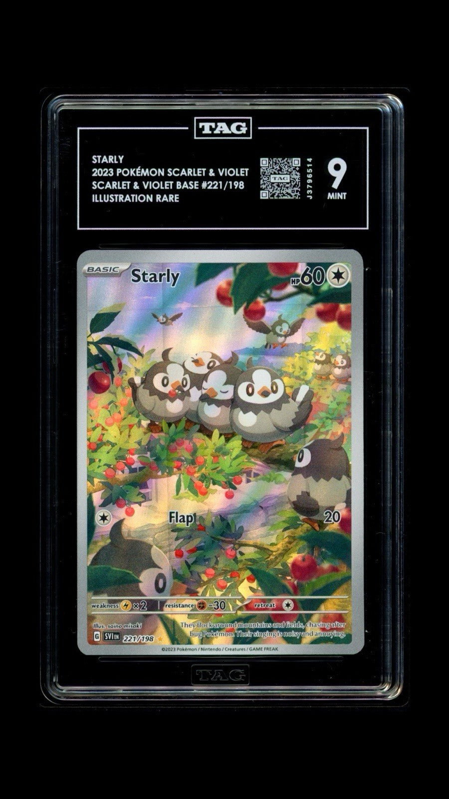 ‼️Pokemon Starly #221 Scarlet & Violet TAG GRADE 9! SAME DAY SHIP SHOOT OFFER💨