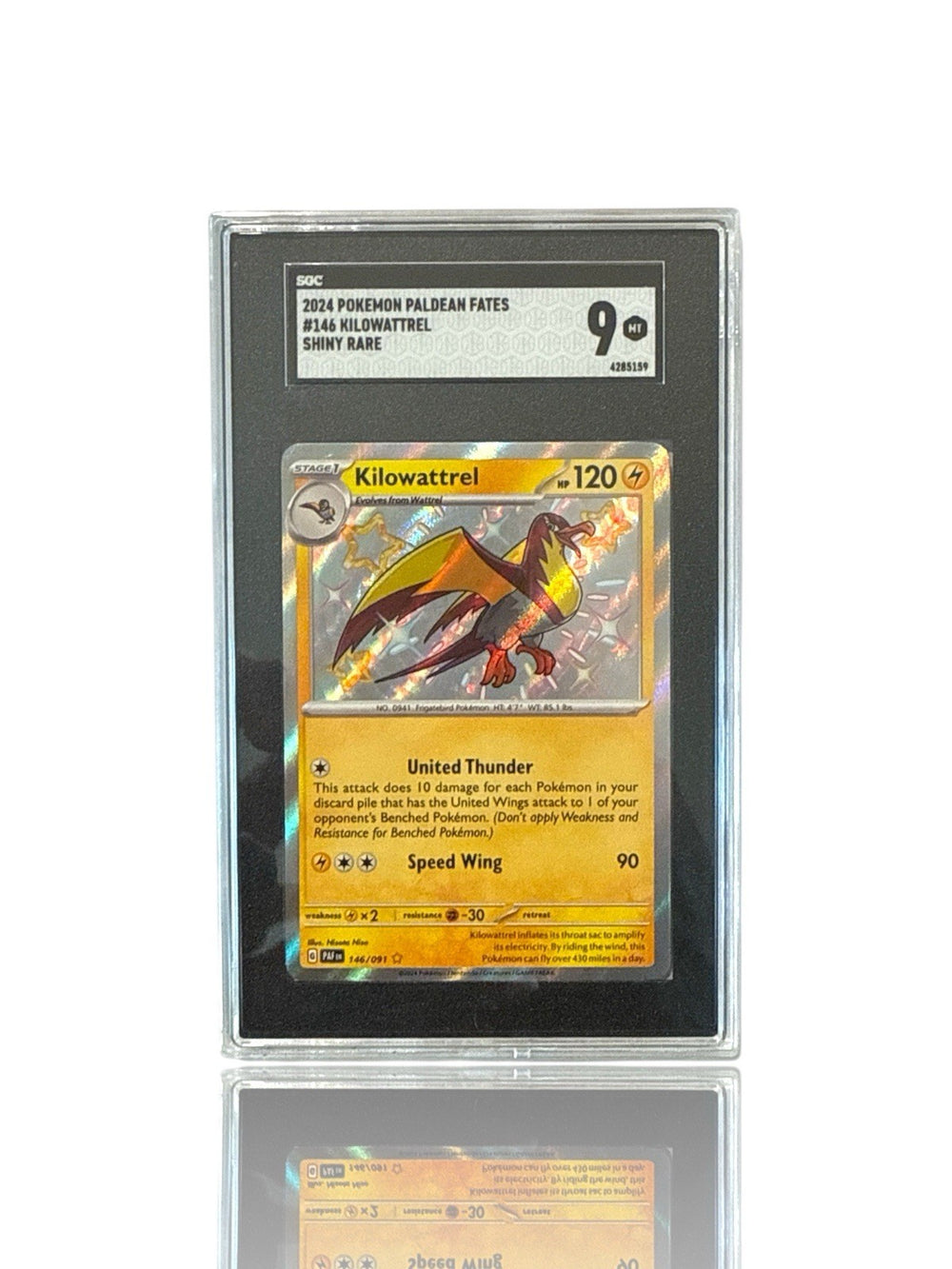 ‼️Pokemon Kilowattrel 146/091: Paldean Fates Holo GRADE 9! FAST SHIP~SHOOT OFFER