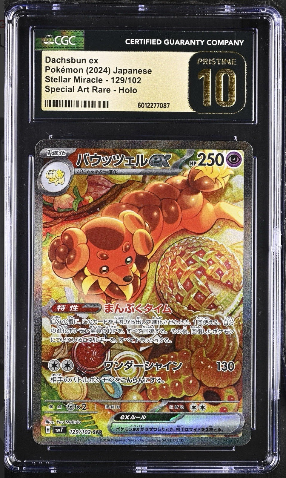 Dachsbun ex #129 Stellar Miracle Japanese CGC 10 PRISTINE GOLD LABEL~SHOOT OFFER