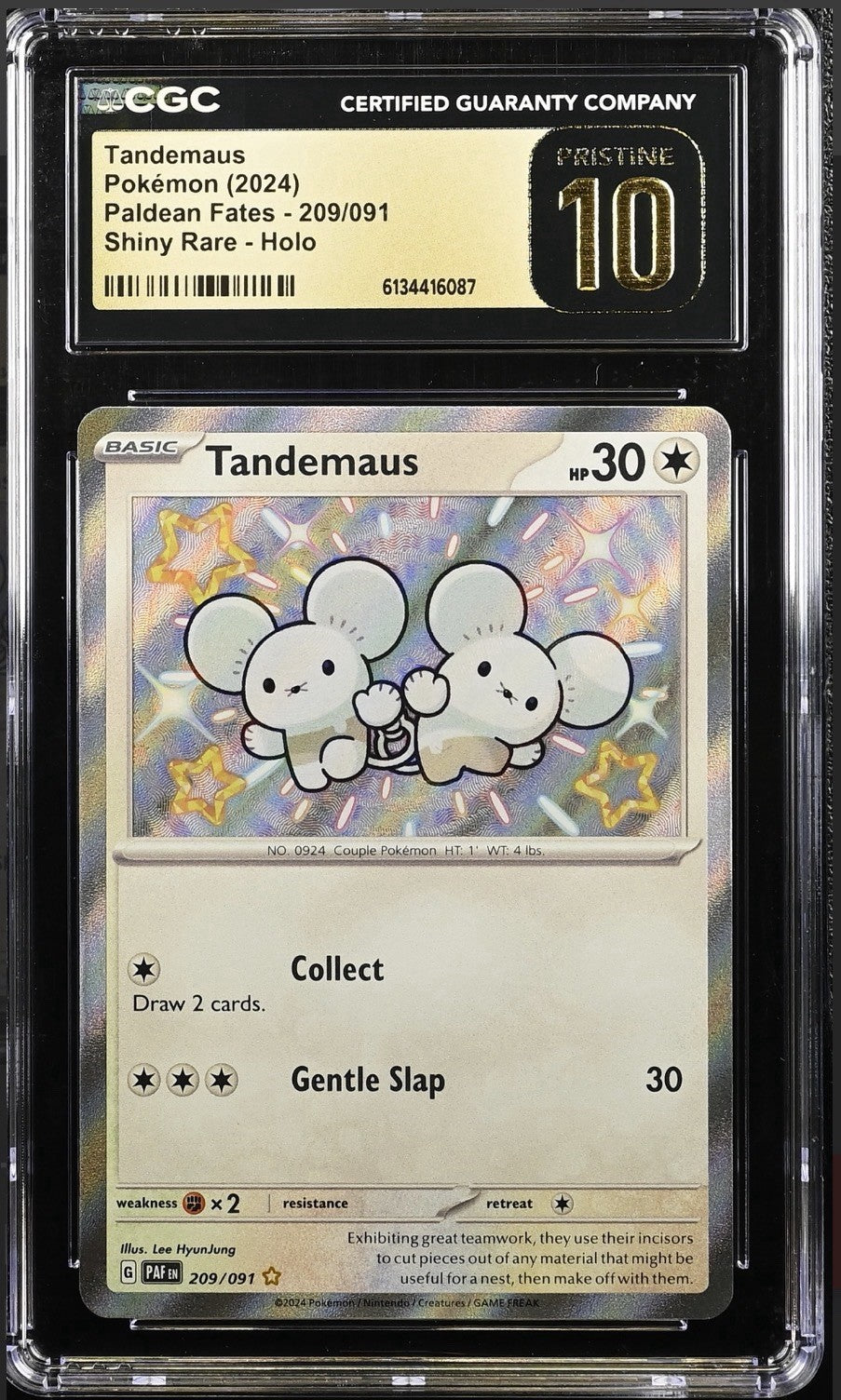 💎 Tandemaus #209 Paldean Fates SHINY GRADE 10 PRISTINE GOLD LABEL TOP POP 6!💨