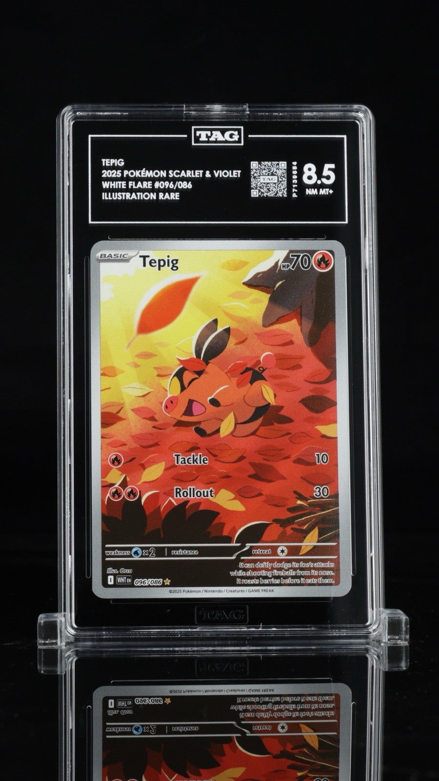 🐷 Tepig 096/086: White Flare Holo TAG GRADE 10! SAME DAY SHIP~ SHOOT OFFER!💨