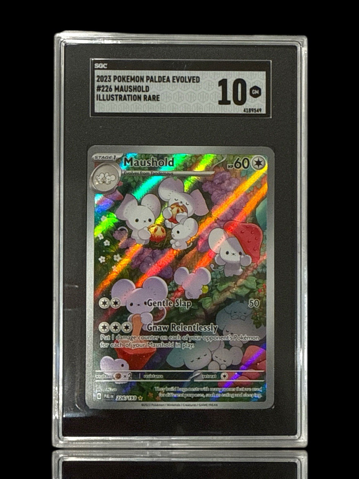 🐭 Maushold 226/193: Paldea Evolved Holo GRADE 10! FAST SHIP~SHOOT OFFER!💨