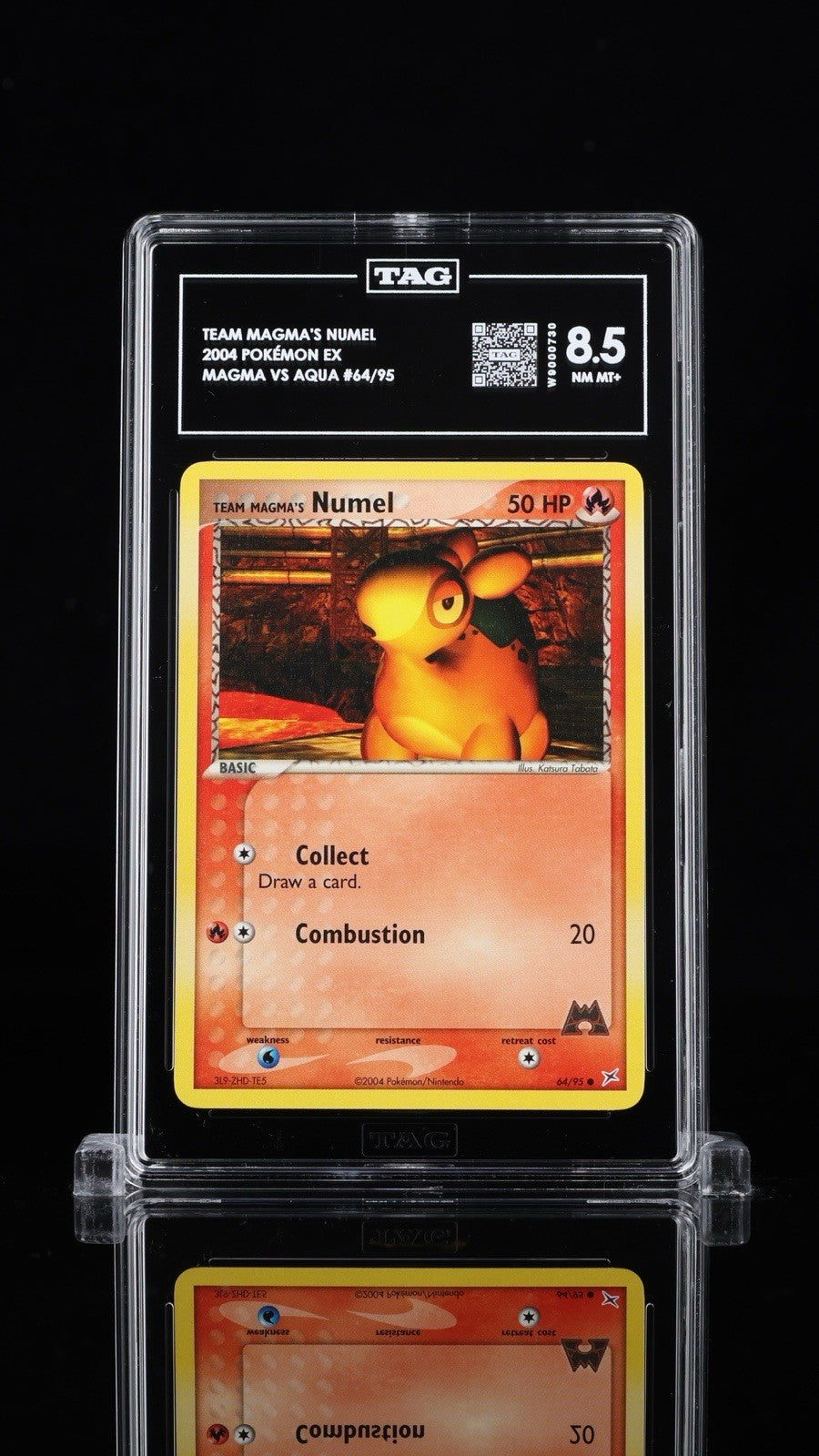 ⚠️ Pokemon Team Magma's Numel EX Team Magma Team Aqua #64~TAG 8.5~SHOOT OFFER💨