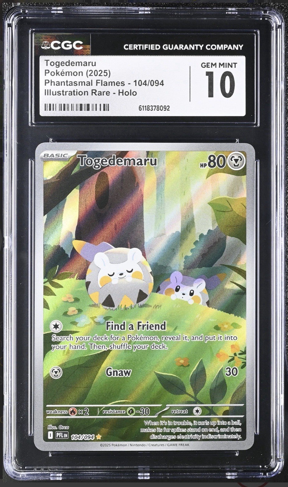 🔥Togedemaru 104 Phantasmal Flames Holo GRADE 10~ SAME DAY SHIP SHOOT OFFER!💨