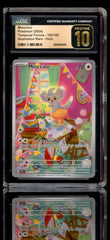 ‼️ Minccino 182/162 Temporal Forces GRADE 10 PRISTINE GOLD LABEL TOP POP 2!💨