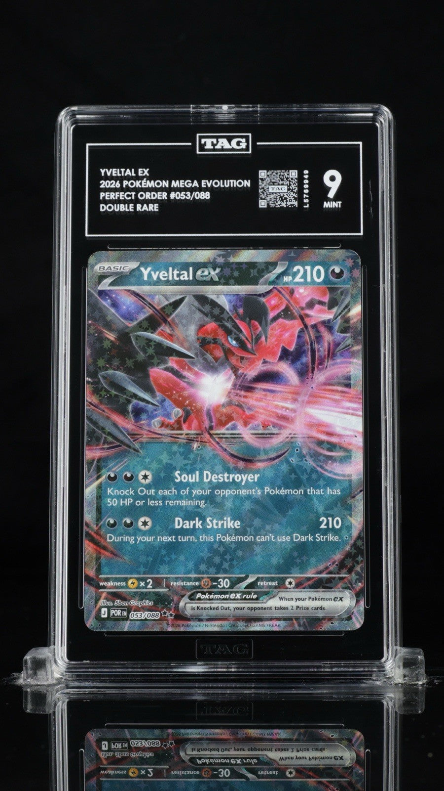 🚨 Yveltal ex 053/088 Perfect Order Holo TAG GRADE 9! FAST SHIP SHOOT OFFER💨