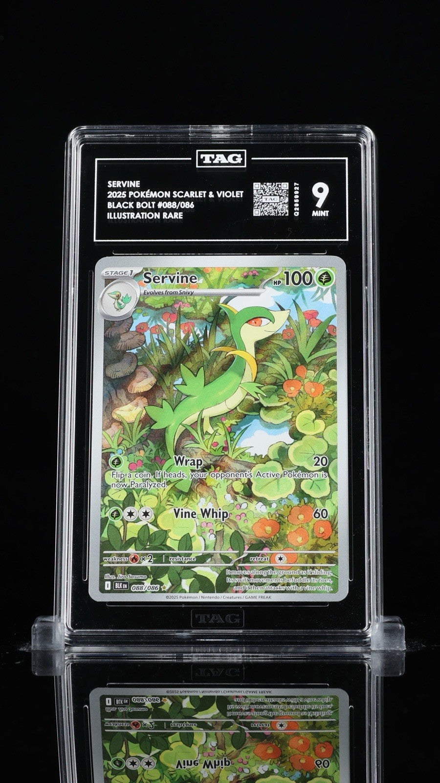 ‼️SERVINE 2025 POKÉMON SCARLET & VIOLET BLACK BOLT #088/086 TAG GRADE 9!💨