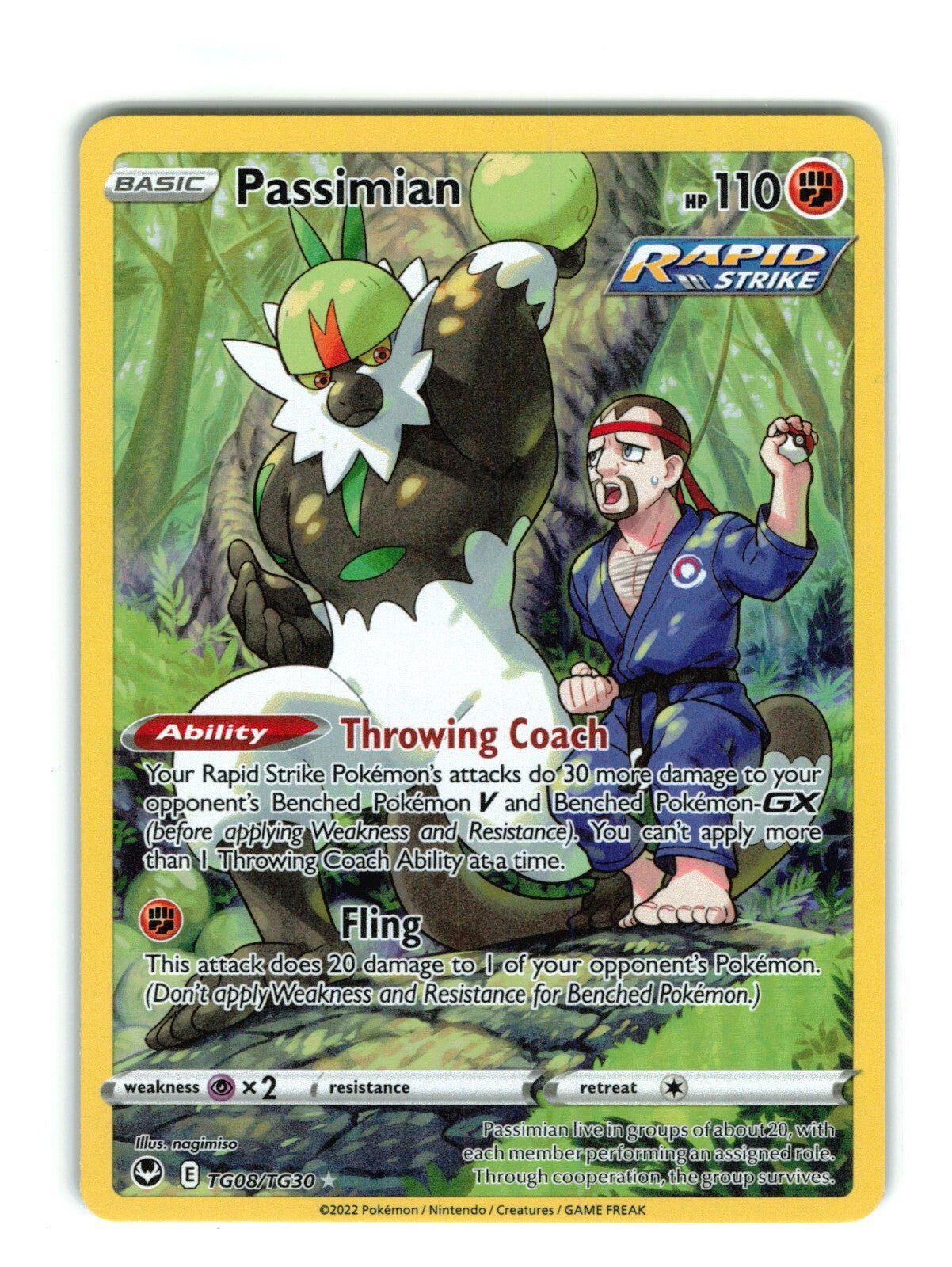 💎 Passimian TG08/TG30 Silver Tempest GRADE 10 PRISTINE GOLD LABEL LOW TOP POP💨