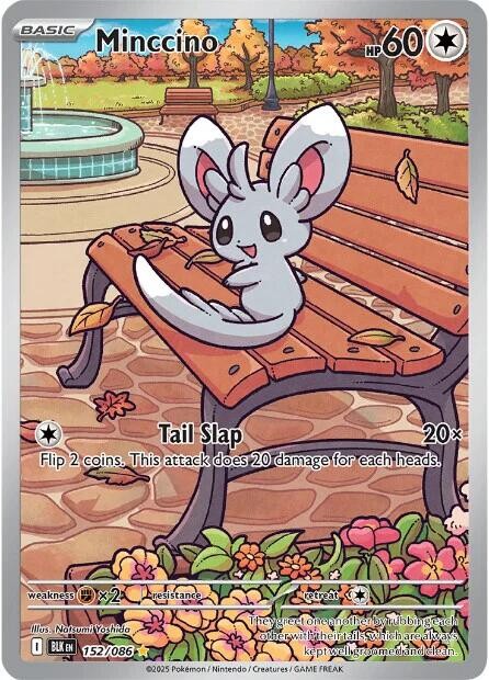 🐭 Minccino 152/086: Black Bolt Holo TAG GRADE 10! SAME DAY SHIP~SHOOT OFFER!💨