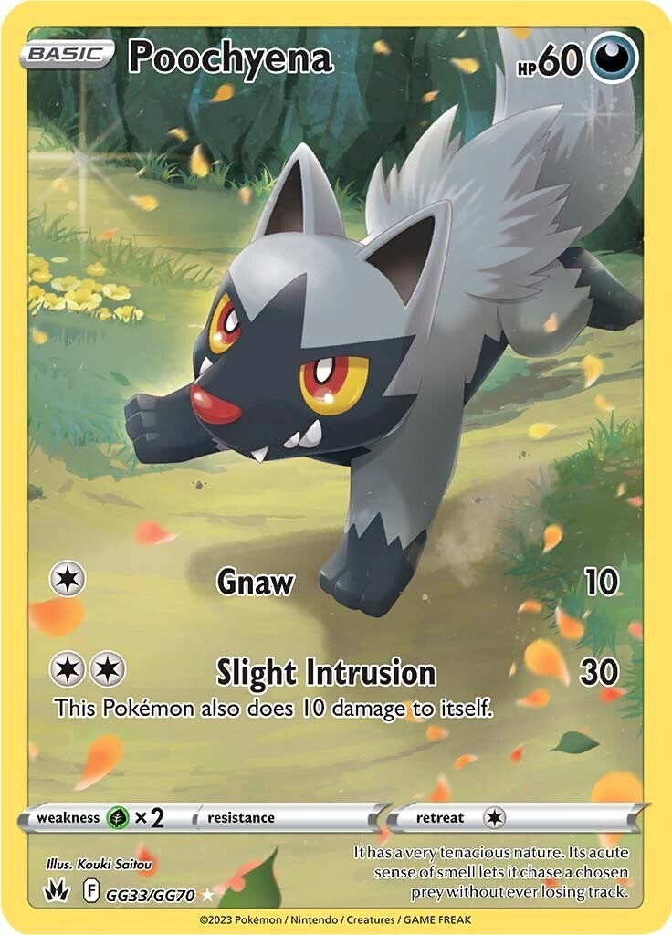 ‼️Poochyena GG33/GG70 Crown Zenith: Galarian Gallery Holo GRADE 10~FAST SHIP💨