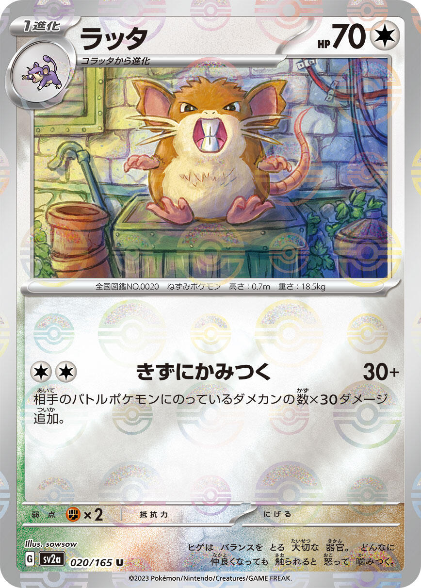‼️Raticate PokeBall 020/165: POKEMON 151 Holo Japanese GRADE 10! SHOOT OFFER